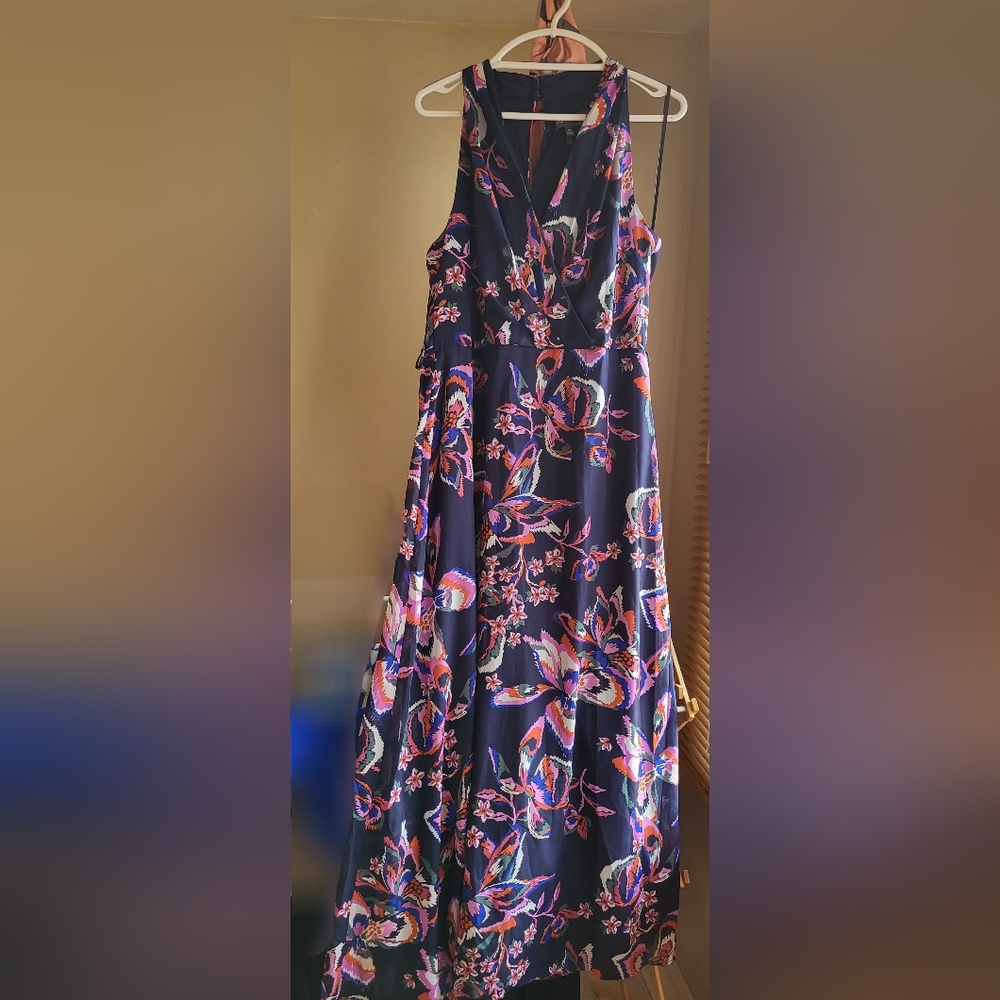 Donna Ricco Maxi Dress